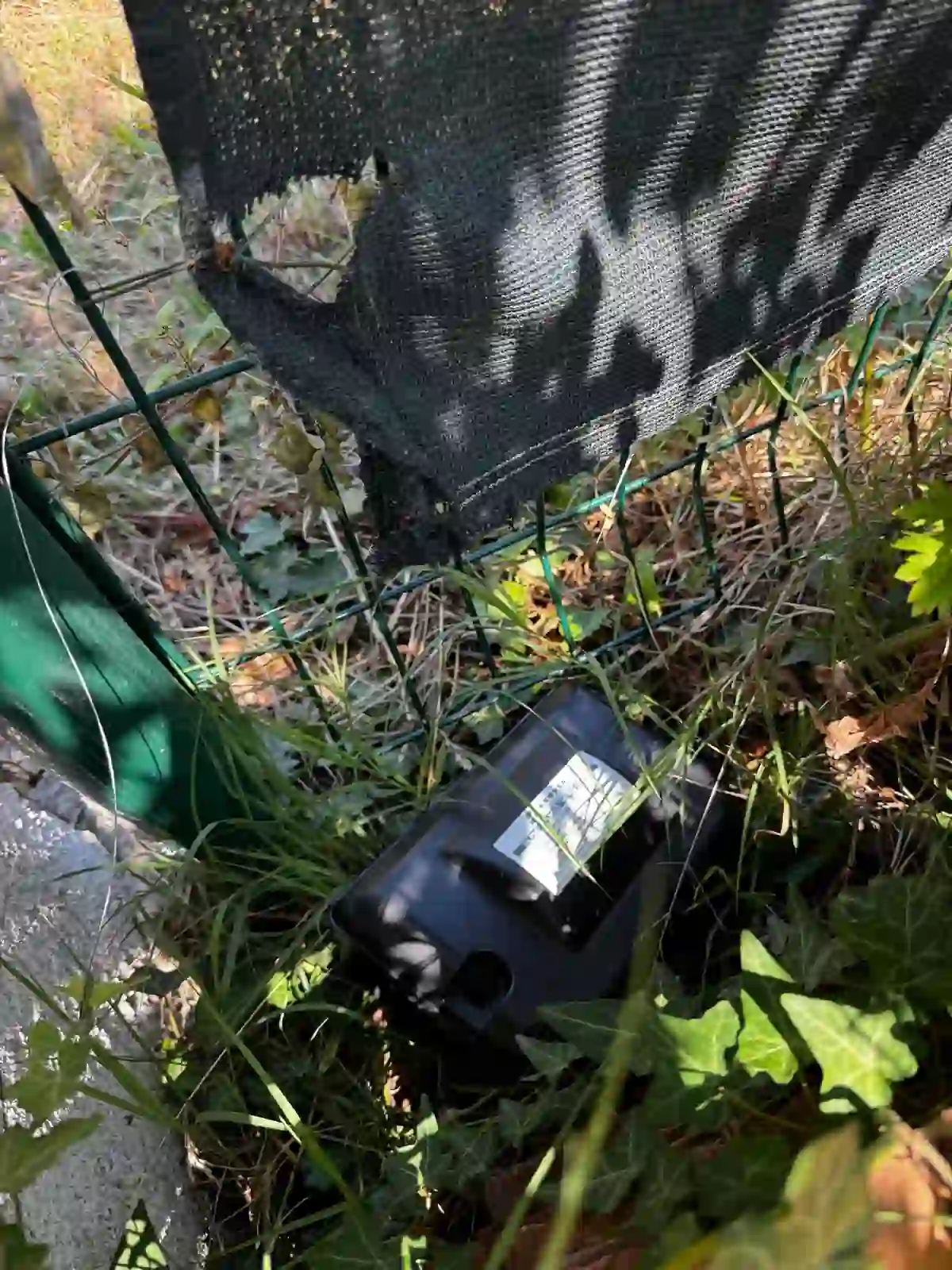 Poste d'appâtage rat sécurisé