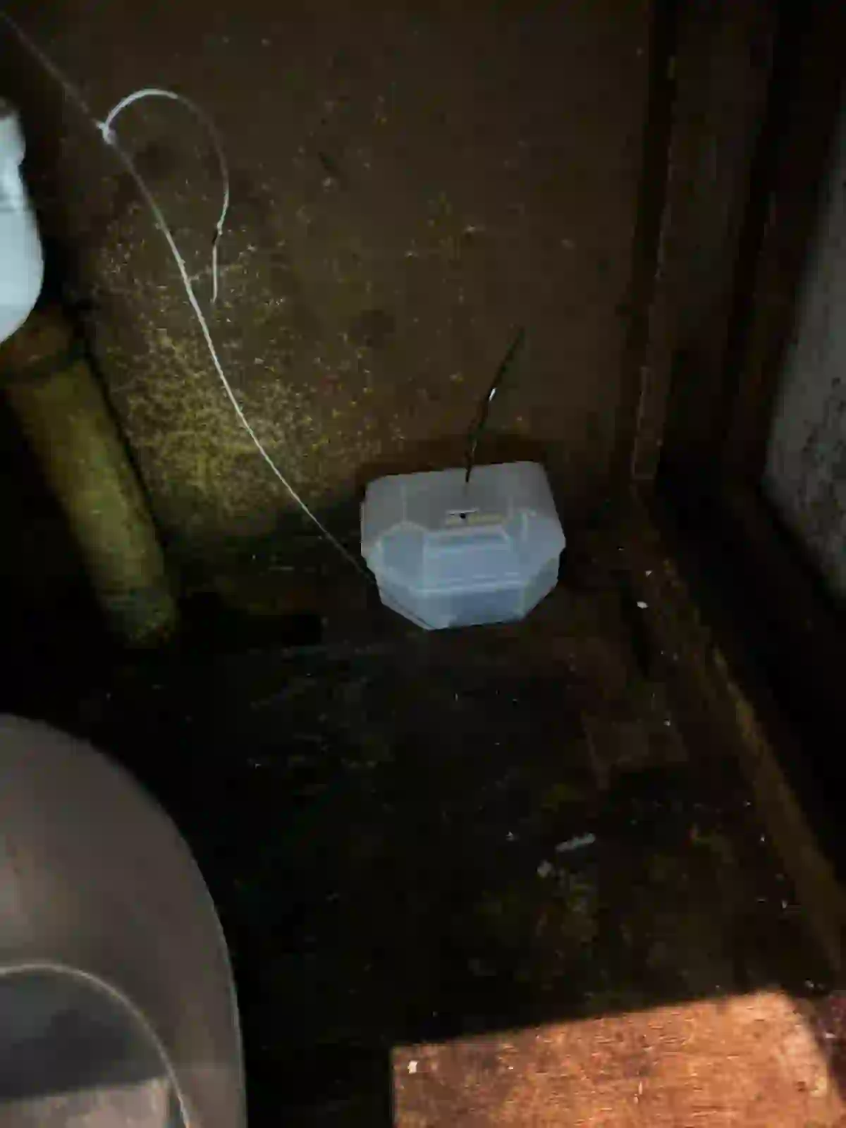 Poste d'appâtage souris sécurisé