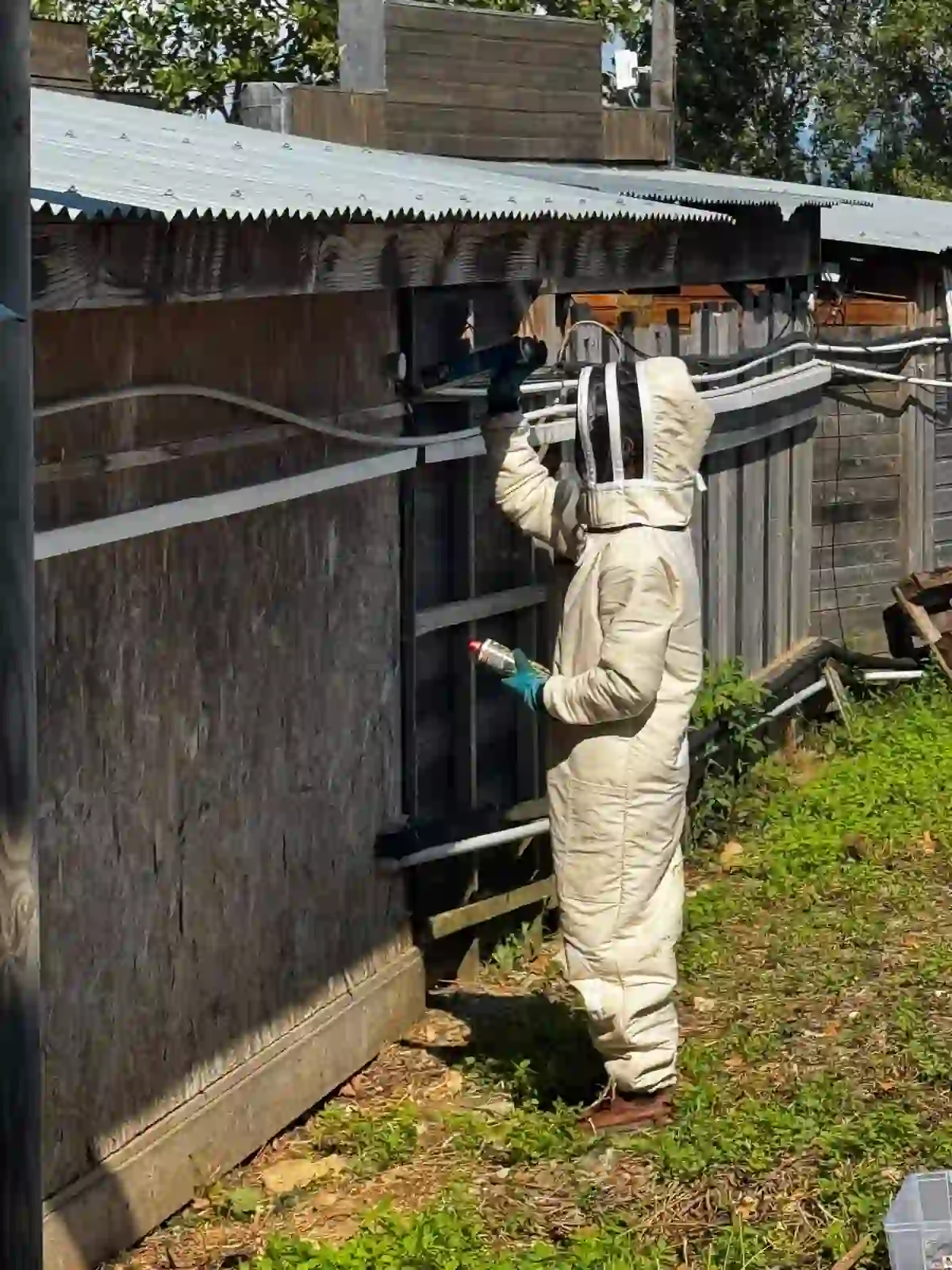 Traitement nid de guêpes